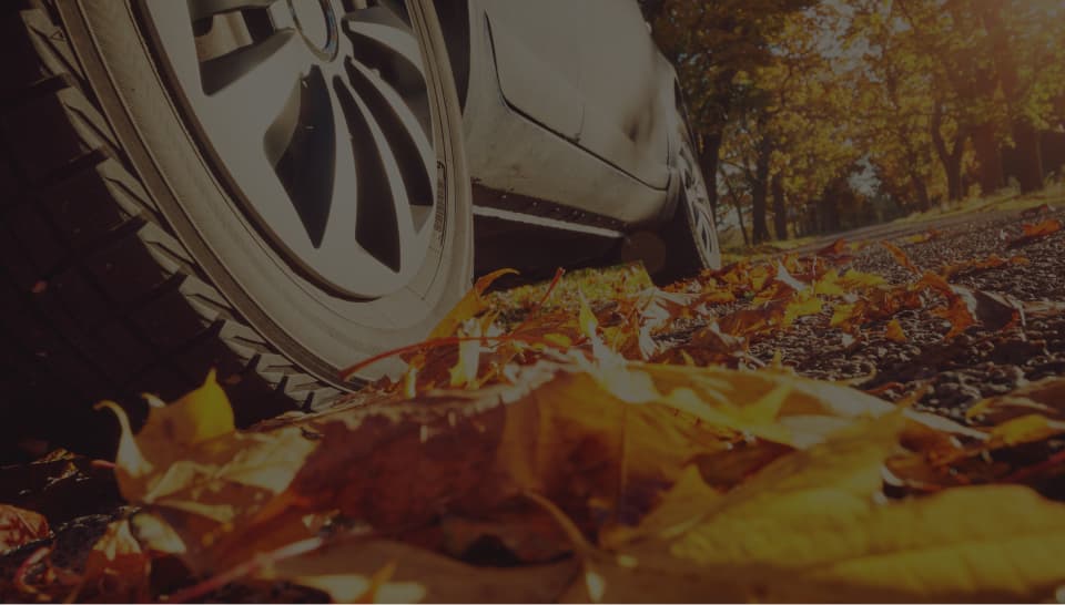 Fall into saving on brand new tires!